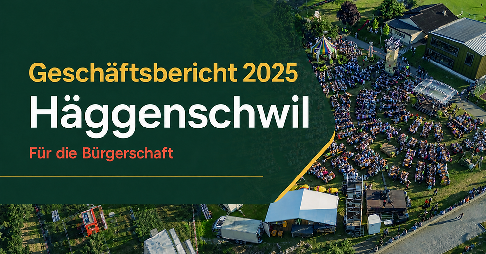 Vom PDF zur Bürgerinformation: der interaktive Geschäftsbericht Häggenschwil