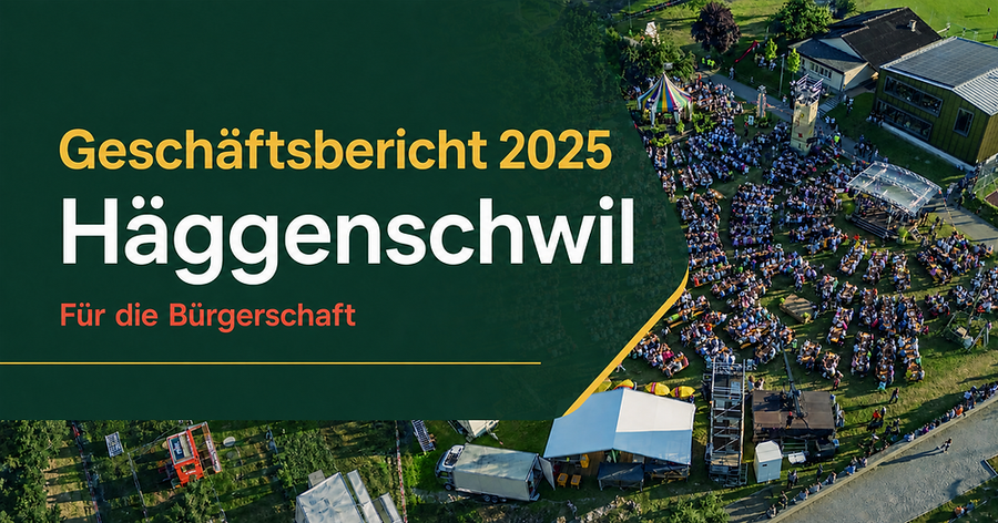 Vom PDF zur Bürgerinformation: der interaktive Geschäftsbericht Häggenschwil